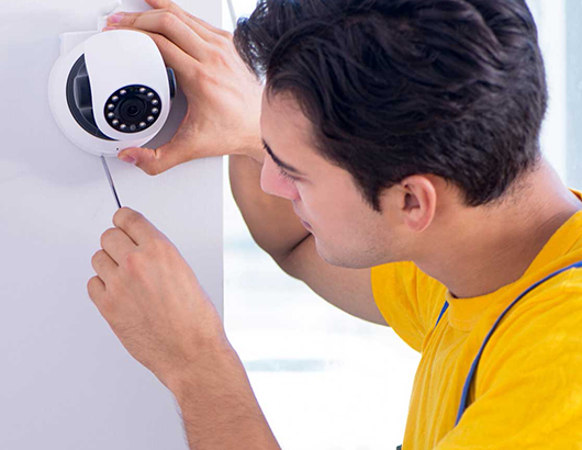 蚂蚁分类信息系统